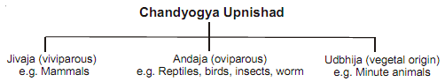 2416_biology in ancient india.png